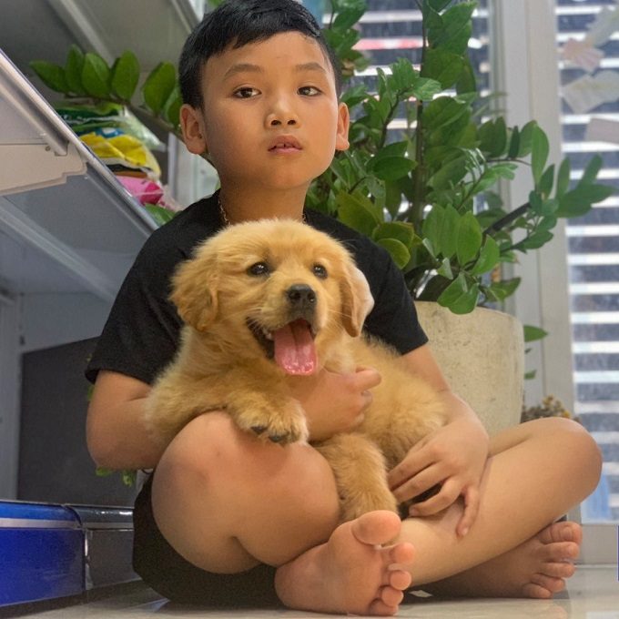 Các khách hàng nhí mua chó Golden tại Dogily Petshop