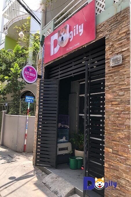 1d0832c4969f6a4cc8e8a8fffe083efb