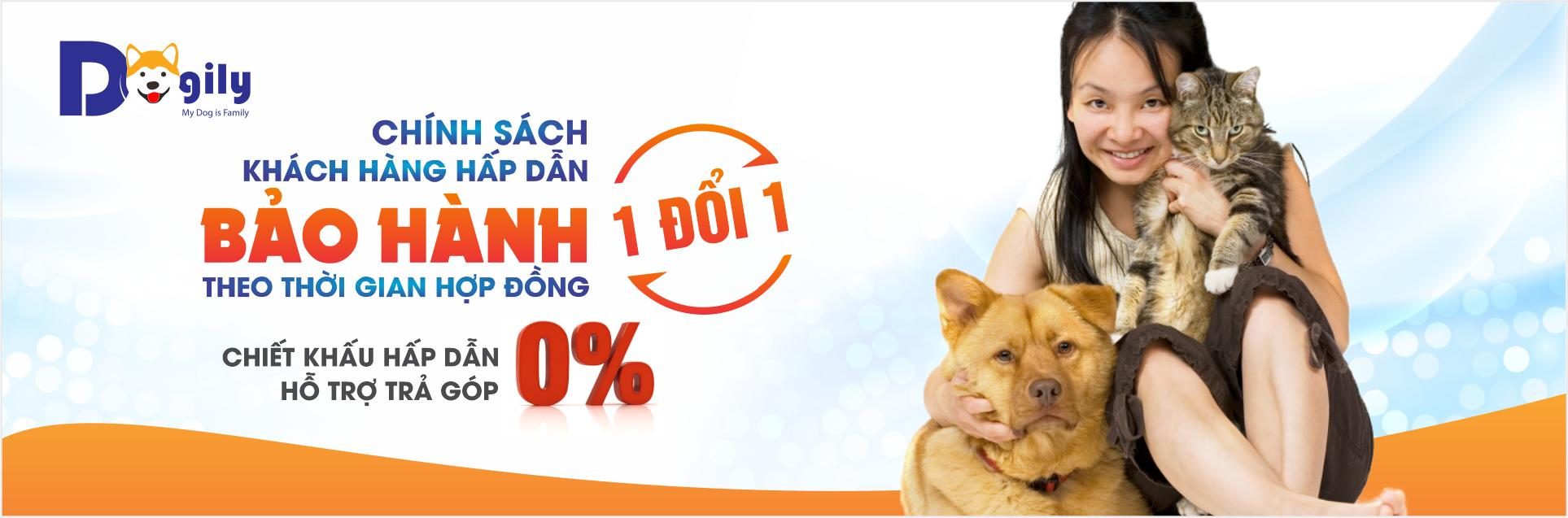 Chó Pug giá bao nhiêu? Mua chó Pug thuần chủng ở đâu tốt 8 c923d8f64e256dde7c28bf1614d53602