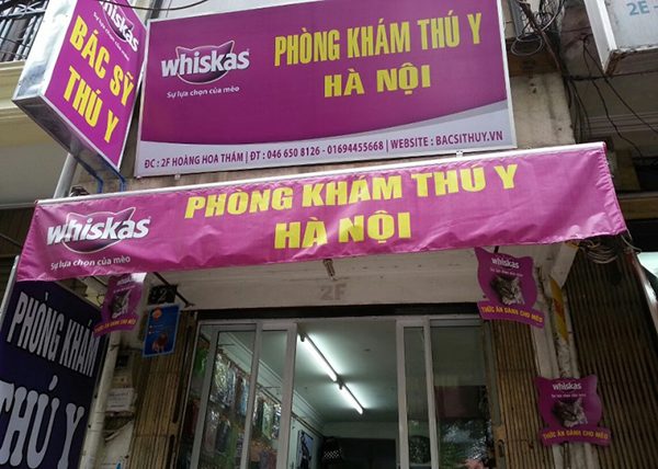 Địa chỉ những phòng khám thú y Hà Nội uy tín nhất hiện nay 3 Phòng khám thú y Hà Nội