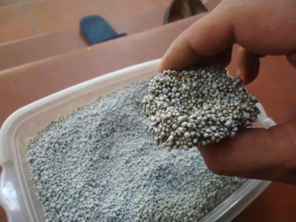 dbec0010cebb295ffb1d96b0af9d77f8