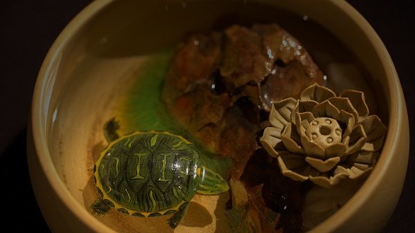 nuôi rùa phong thủy