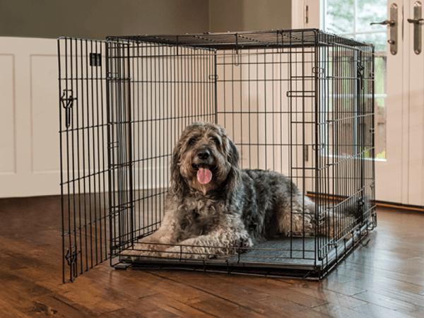 Cách làm chuồng chó đẹp chắc chắn trong 15 phút 3 Cách làm chuồng chó đẹp