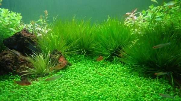 2639c6bd2a42e714227b06646829d6ea