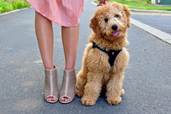 46d045ff5190f6ea93739da6c0aa19bc