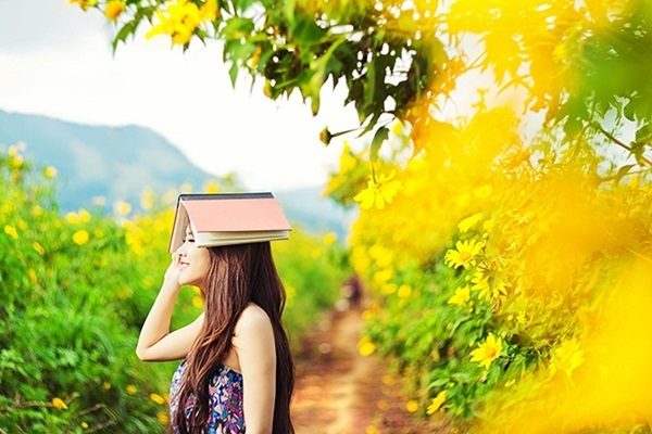 Du lịch Đà Lạt mang theo thú cưng cần lưu ý những gì?