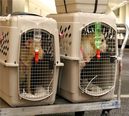 8ab70731b1553f17c11a3bbc87e0b605