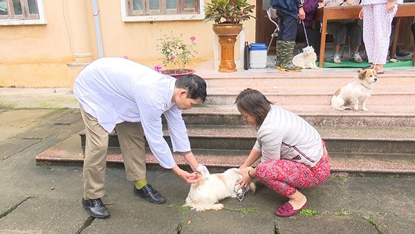 a33f5792b2a9a51ddd0111b3ac6e0e76