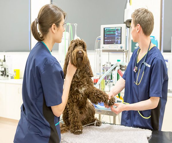 cb463625fc9dde2d82207e15bde1b674