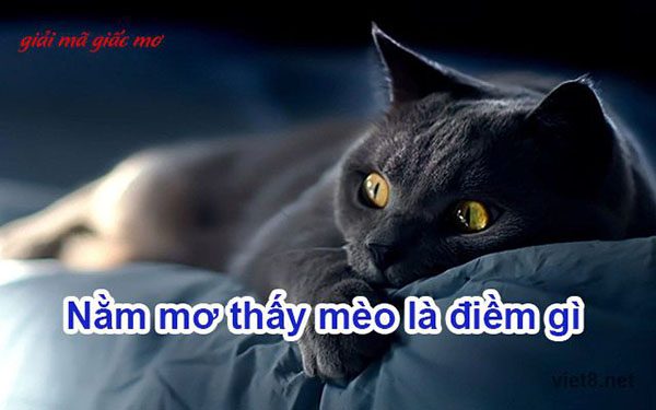 47060dfad0287968d7a4a022691b7f53