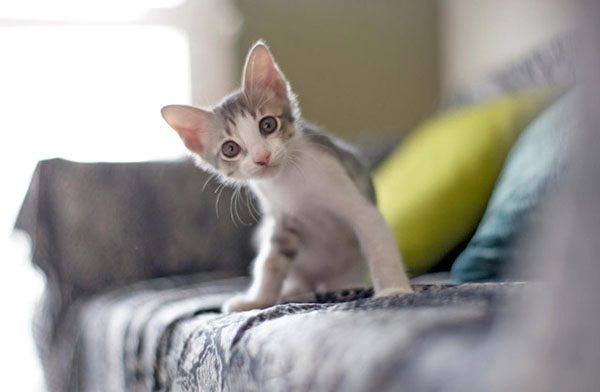 8860a4e27cbbe4c63821b429211684a3