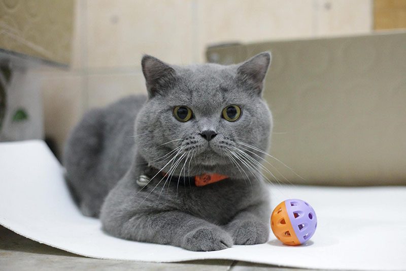 5e18f86fad006a5846541997511989d5